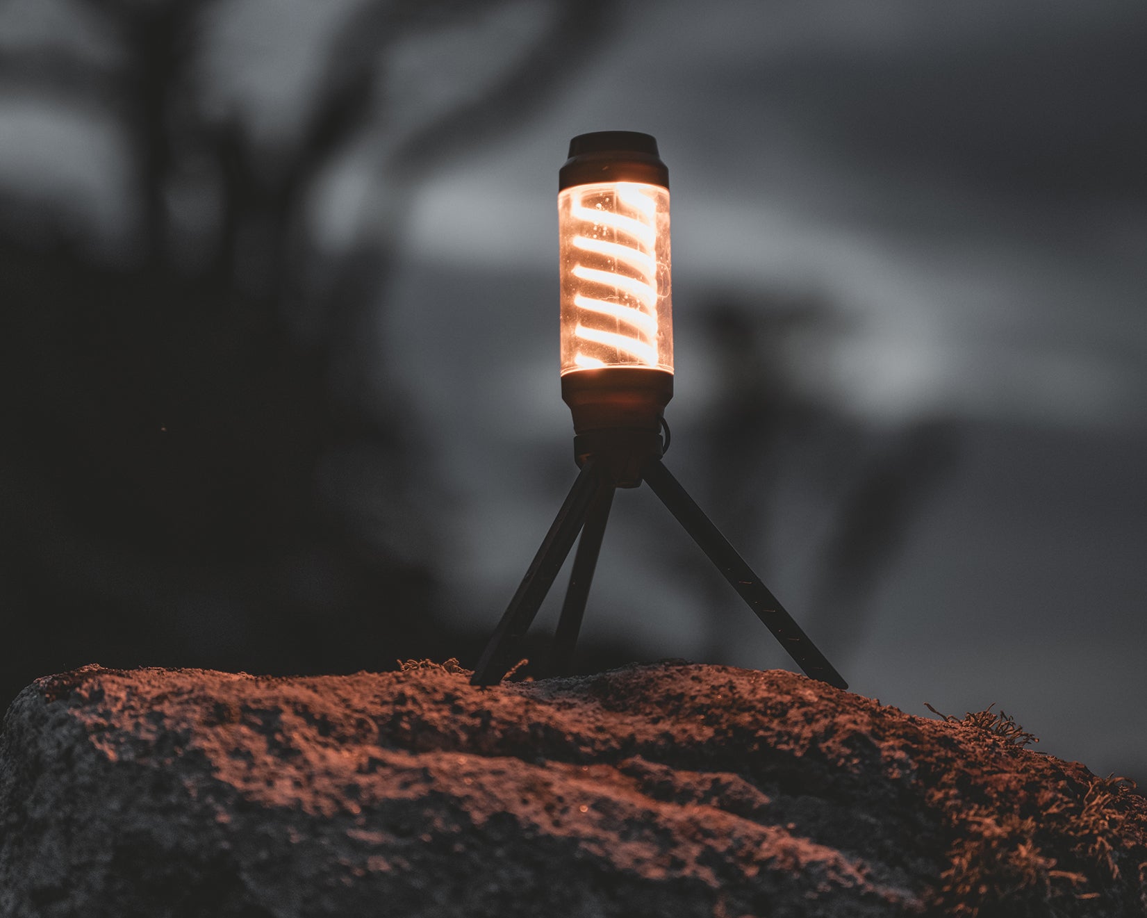 Wintergreen Compact Lanterne